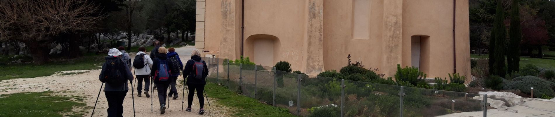 Tocht Stappen La Valette-du-Var - Le Mt Combe-12-03-21 - Photo