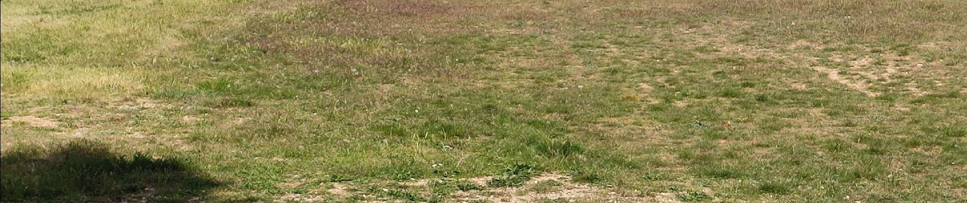 Tour Wandern Langlade - Langlade -  Moulin Oppidum de Nages - Photo