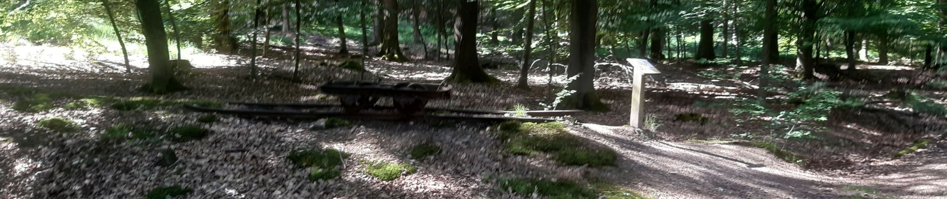 Randonnée Marche Limbourg - lim bourg et environs 17km - Photo