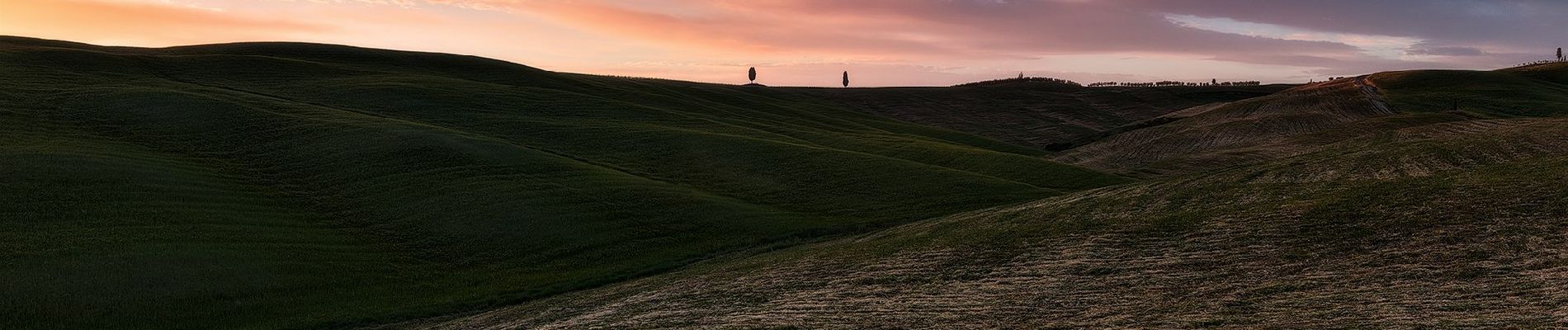 Tocht Te voet Pienza - IT-PVO4 - Photo