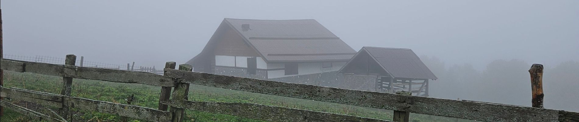 Randonnée Marche Bușteni - busteni-sinaia - Photo