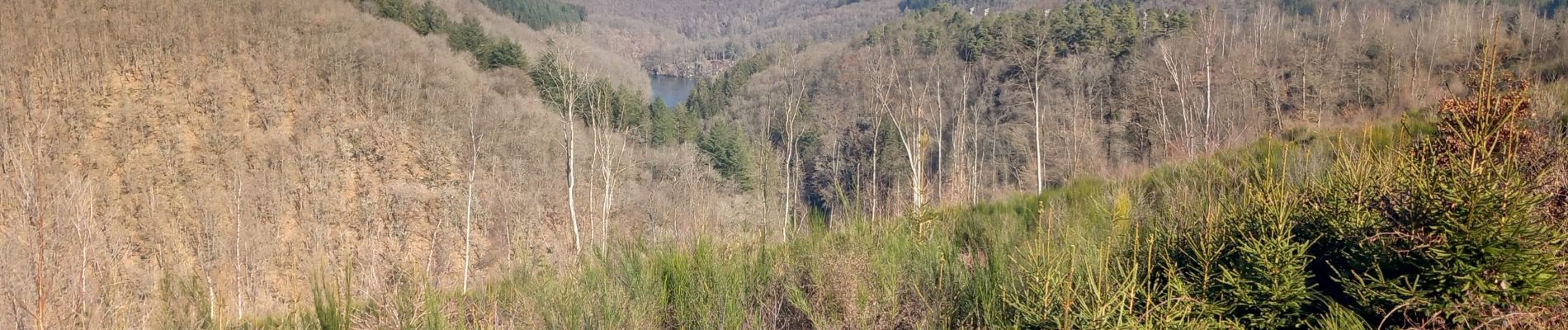 Randonnée Marche Houffalize - Engreux - Confluent des deux Ourthes var. - Photo