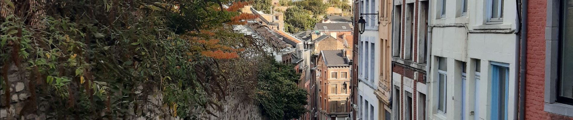 Randonnée Marche Liège - petit tour dominical coteaux batte  - Photo