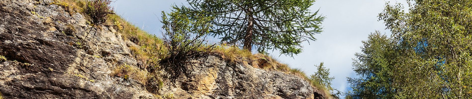 Percorso A piedi Peio - Sentiero della Val Cadini - Photo