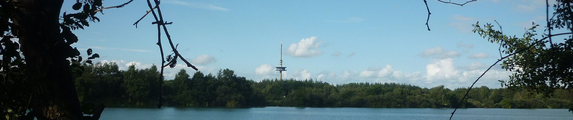 Percorso A piedi Schiffdorf - Rundweg 