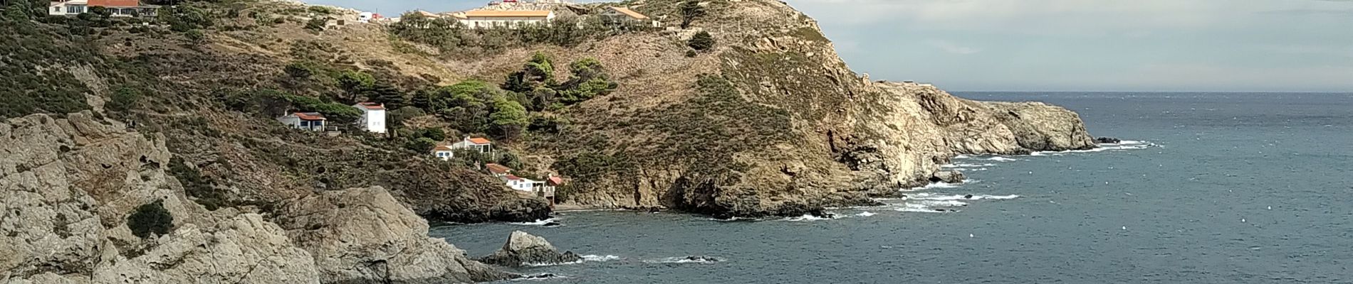 Tocht Stappen Collioure - Collioure Banyuls  - Photo