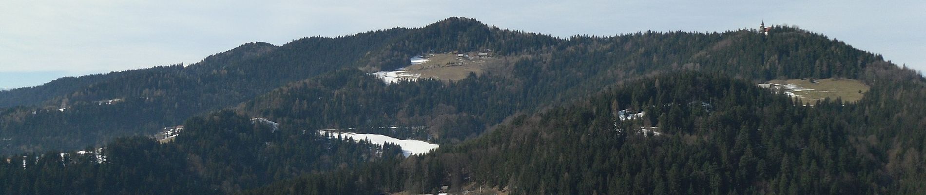 Excursión A pie Leutschach an der Weinstraße - Grenzpanoramaweg - Photo