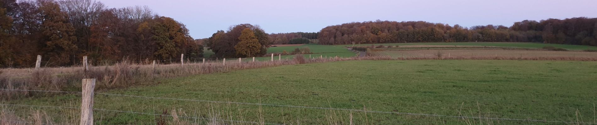 Tocht Stappen Aarlen - 4km campagne d arlon - Photo