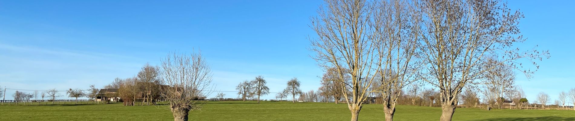 Tocht Stappen Olne - Balade 1 de Olne  - Photo