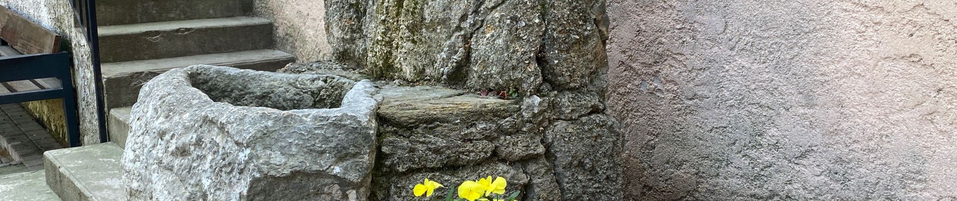 Trail Walking Gémenos - Espigoullier vers Nans les pins  - Photo