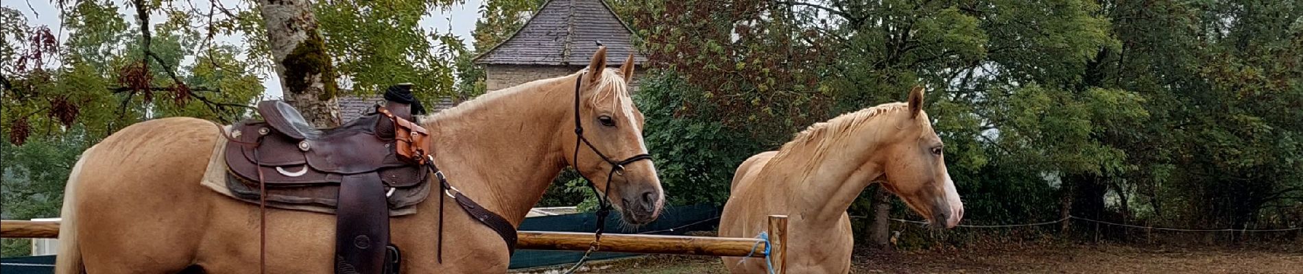 Percorso Equitazione Loubressac - Rando cavaliers Laroque Loubressac 9 Oct 22 - Photo