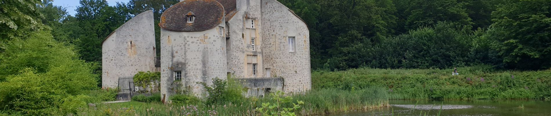 Tocht Te voet Taverny - Taverny Saint Leu la Forêt modifié - Photo