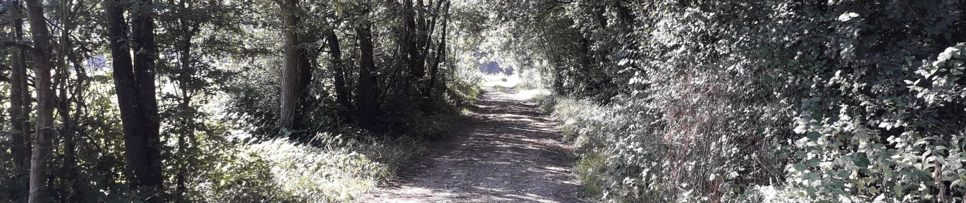 Tocht Te voet Fosses-la-Ville - Mon parcours - Photo