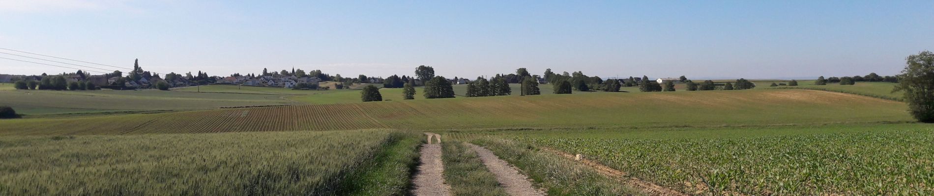 Tocht Stappen Heimsbrunn - Heimsbrunn  - Photo