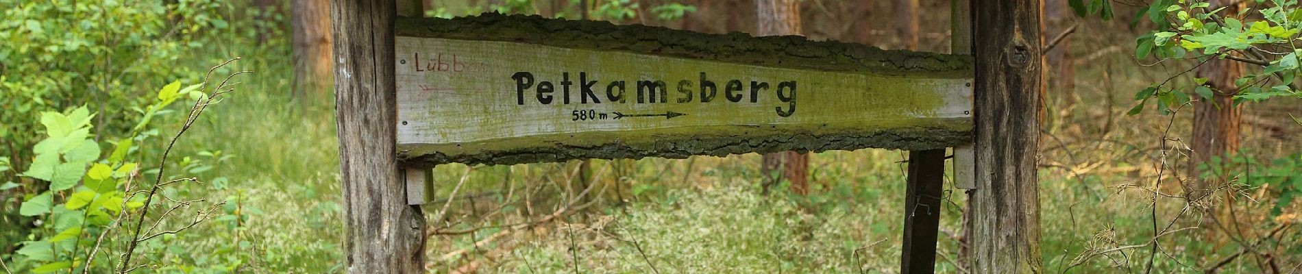 Randonnée A pied Schlepzig - Wanderweg Verbindungsstraße Lübben-Schlepzig - Photo