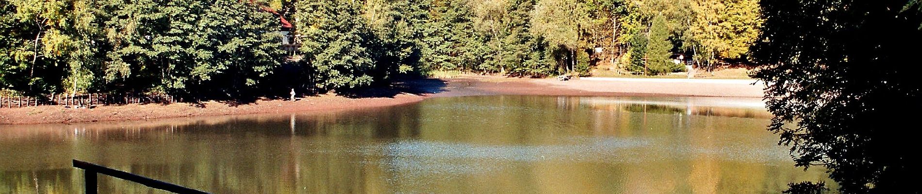 Randonnée A pied Sangerhausen - DE-Grüner Punkt - Photo