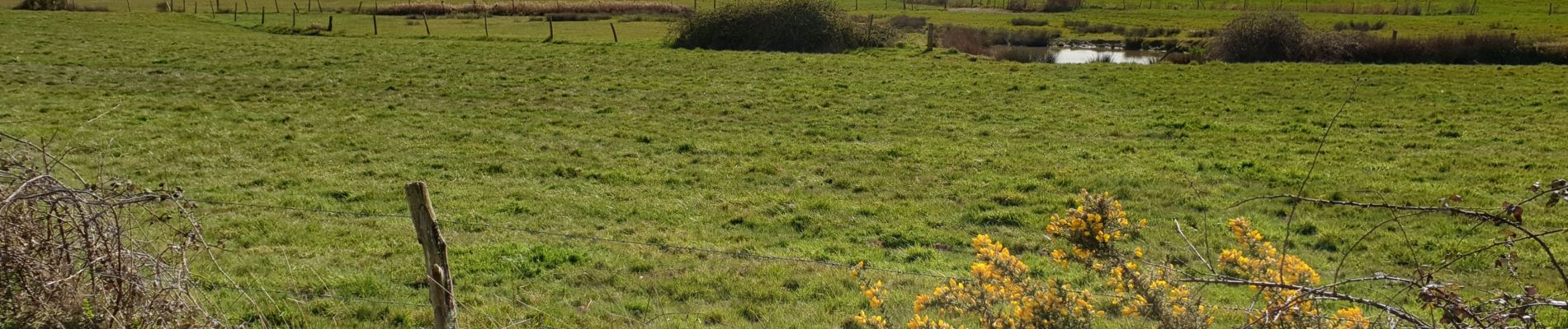 Tour Wandern Chauvé - SityTrail - Autour du bourg de Chauvé - Photo