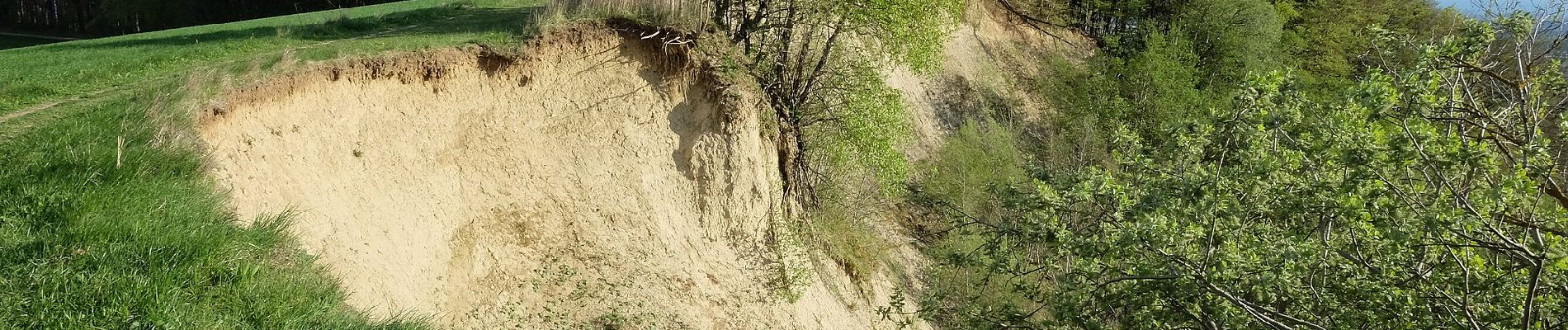 Tour Zu Fuß Markdorf - Wanderwege Markdorf: Eulenweg - Photo