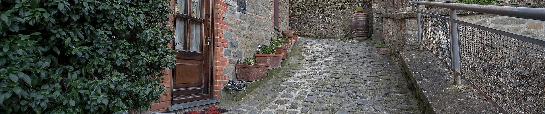 Tocht Te voet Massa e Cozzile - Anello Croci Marliana - Photo