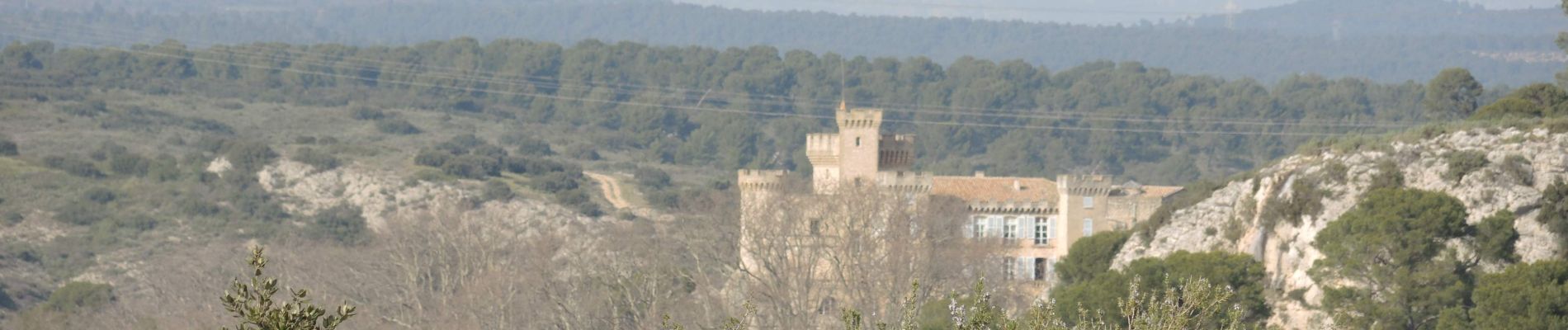 Randonnée Marche Lambesc - PF-Lambesc - La Barben par les bords de la Touloubre - XA - Photo