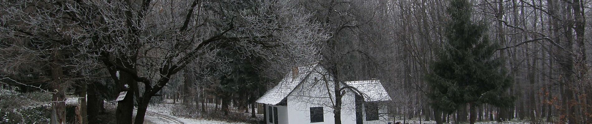 Percorso A piedi Szászvár - S● Vörösfenyő kulcsosház – Balincai-kút – Gyilkos-tó – Z+ elágazás - Photo