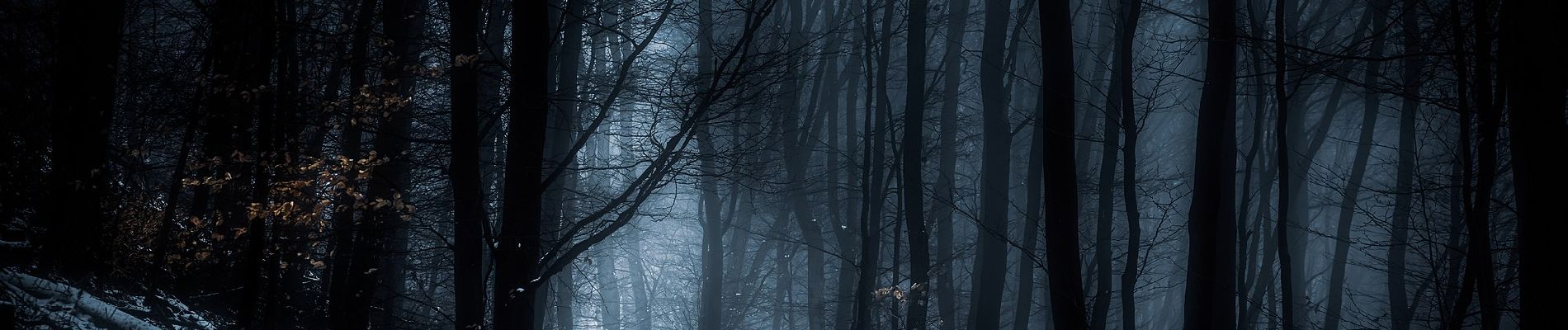 Tocht Te voet Jakobsweiler - Dannenfels: Kleeblattweg - Photo