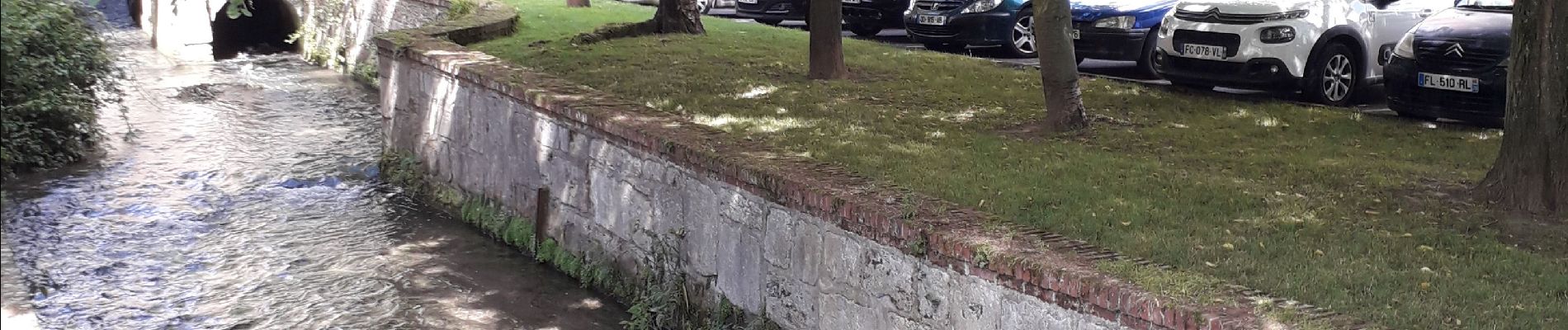 Randonnée Marche Darnétal - Darnétal- Le Bois du Roule vers Roncherolles - Photo