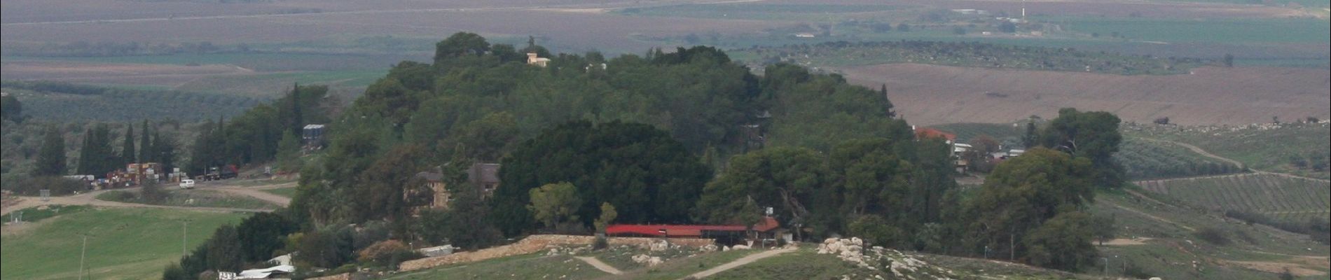 Tour Zu Fuß Regionalverwaltung Mateh Jehuda - יער הנשיא - ירוק - Photo