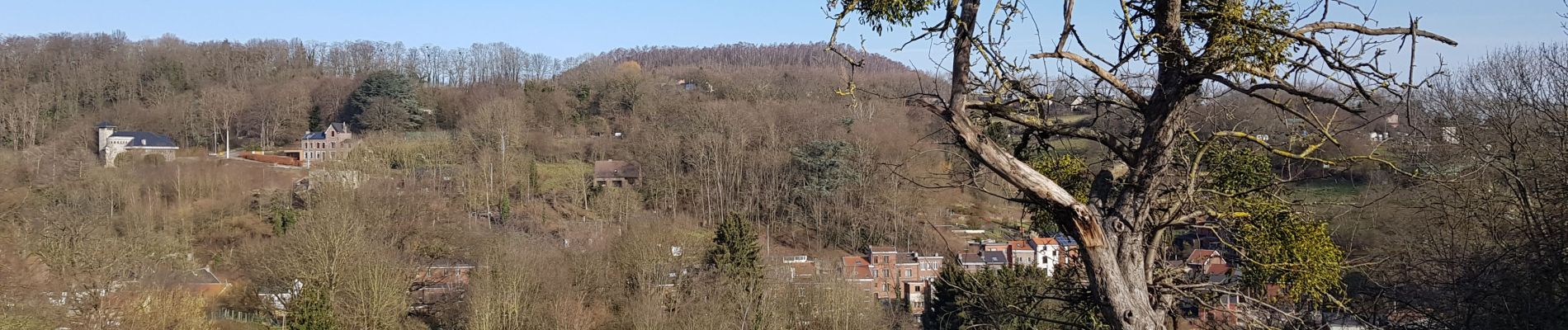 Randonnée Marche Liège - Rocourt - chr de Liège  - Rocourt  - Photo