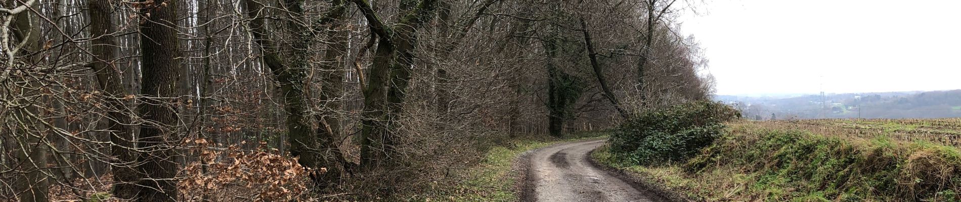 Randonnée Marche Ittre - Virginal-Samme - Photo