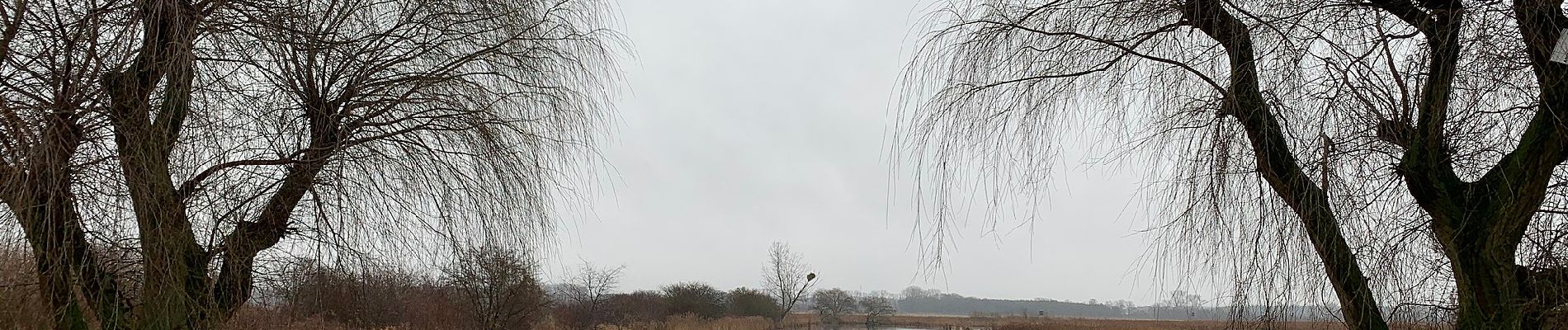 Tour Zu Fuß Blankenfelde-Mahlow - Rundwanderweg Schwanensee - Photo