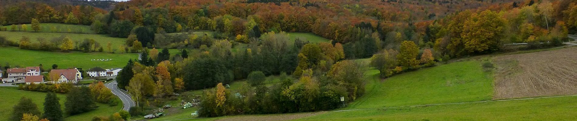 Tocht Te voet Fischbachtal - Verbindungsweg 