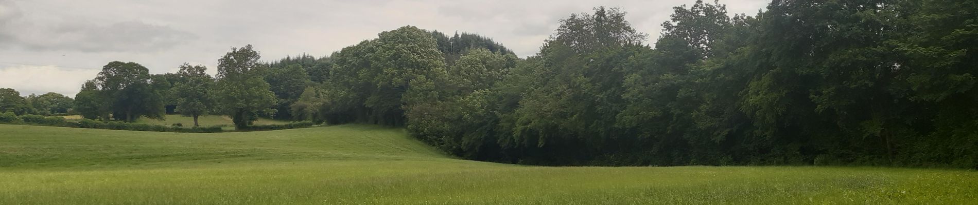 Tour Wandern Theux - neufmarteau . royonpré retour via trou cola  - Photo