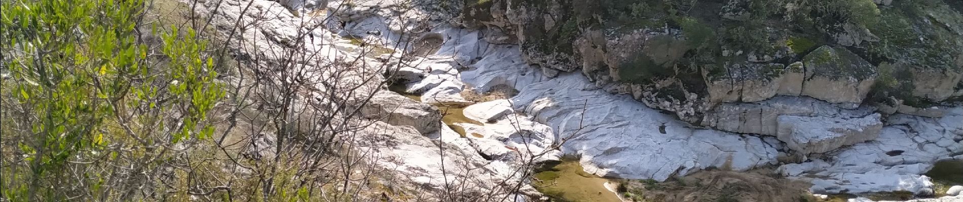 Trail Walking Le Muy - le couloubrier - Photo