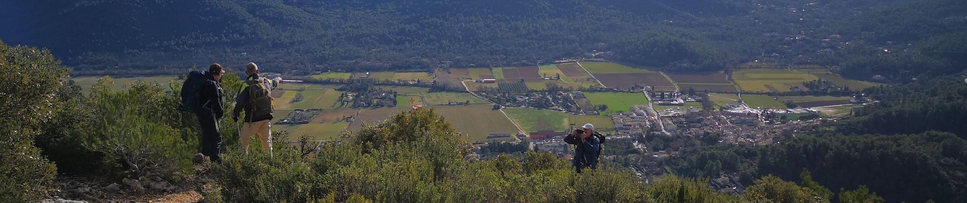 Trail Walking Signes - le mourre d'agnis par Signes - Photo