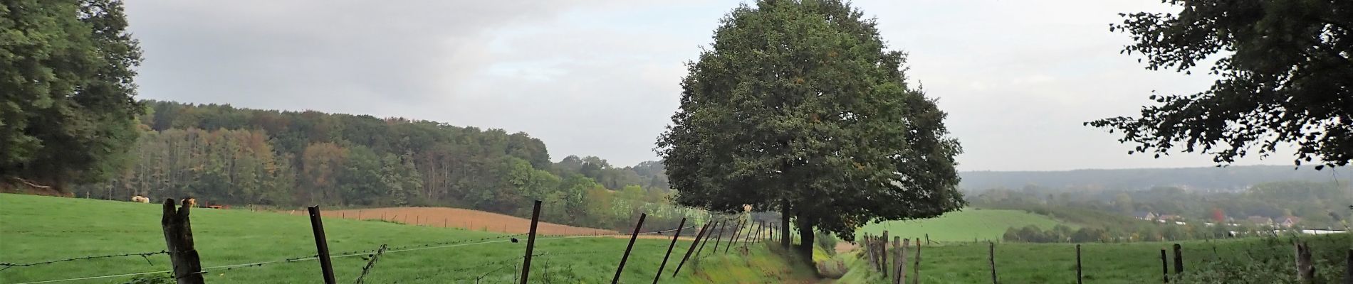 Trail Walking Huldenberg - #191230a - Ottenburg, Rondebos & St Agatha-Rodebos - Photo