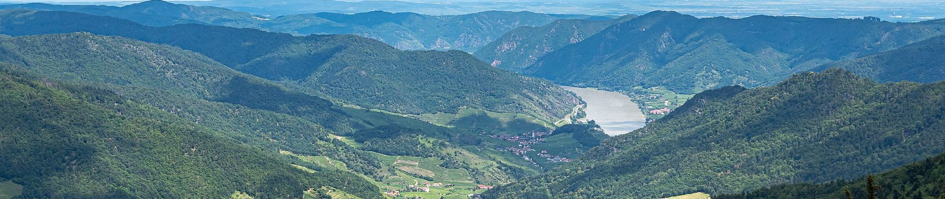 Tour Zu Fuß Gemeinde Mühldorf - Welterbesteig Wachau Etappe 5 - Photo