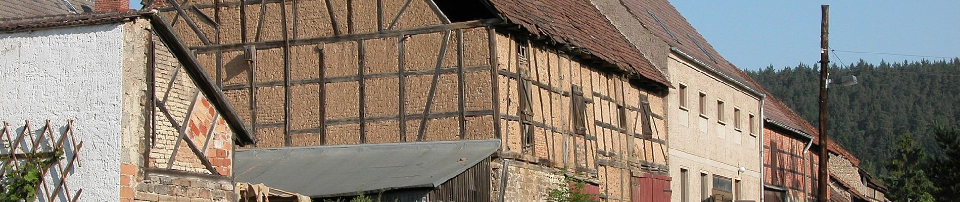 Tour Zu Fuß Bad Berka - grüner Balken Tannroda - Photo