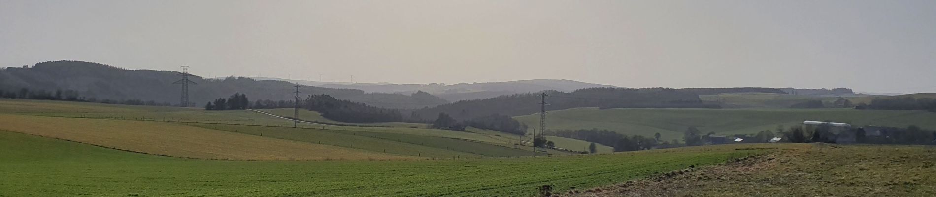 Tour Wandern La Roche-en-Ardenne - rando ornitho warempage 24/02/2021 - Photo