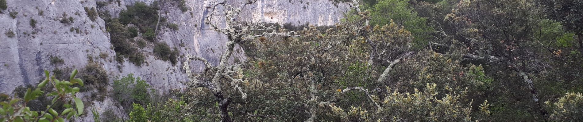 Randonnée Marche Gordes - ravin de la veroncle - Photo