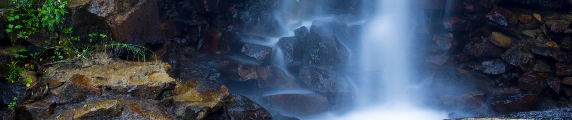 Randonnée A pied Fogars de Montclús - Itinerari Forestal de Fontmartina - Photo