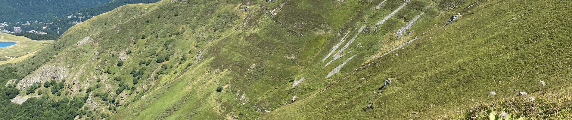 Tocht Stappen Pailherols - Pailherols  route de la montagne, plomb du Cantal - Photo