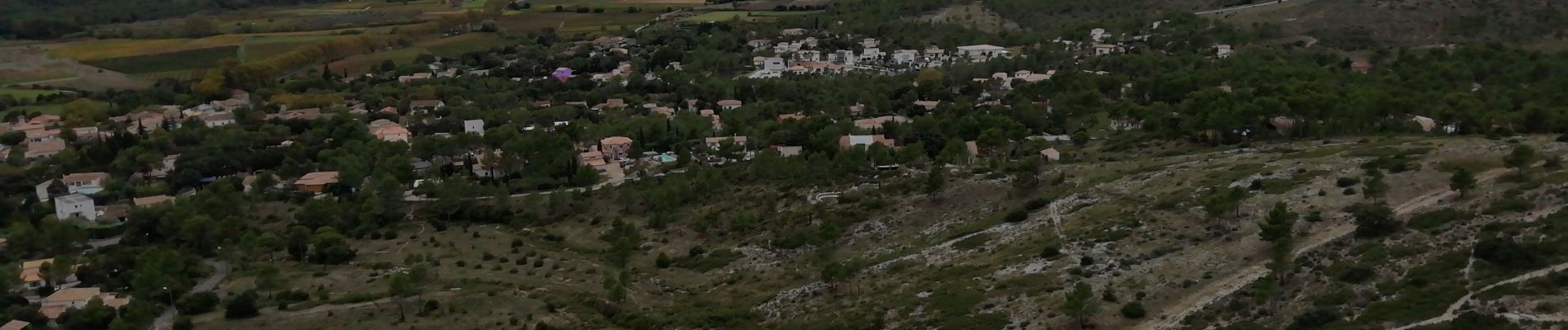 Tocht Stappen Saint-Bauzille-de-Montmel - Wt Bauzille / pic - Photo