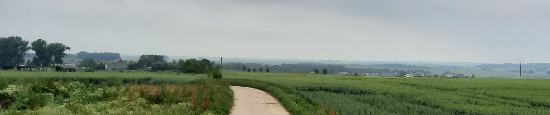 Percorso Equitazione Walcourt - Mertenne/bois de la Baronne/Rognée - Photo