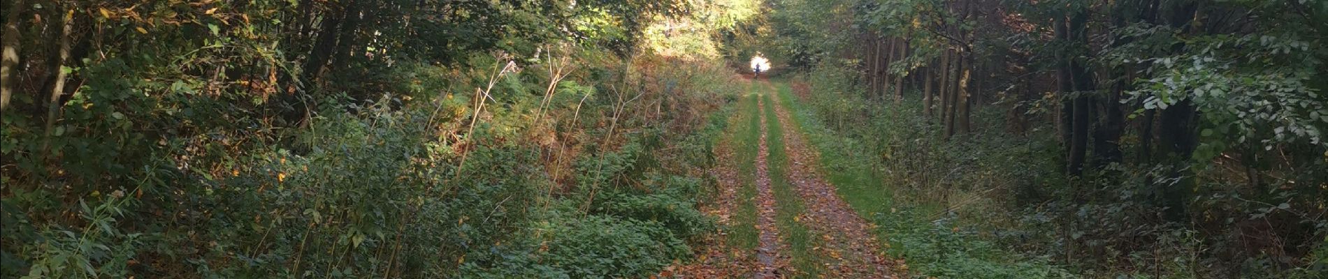 Trail Walking Arques-la-Bataille - hameau de Florence  - Photo