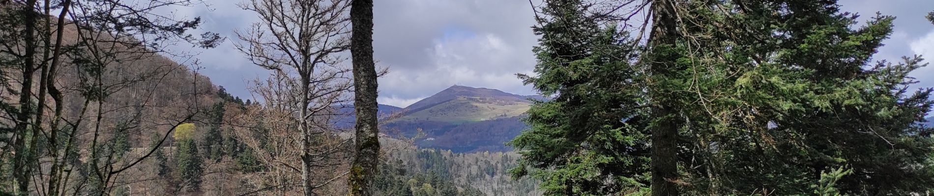 Randonnée Marche Soultz-Haut-Rhin - Col Amic  - Photo