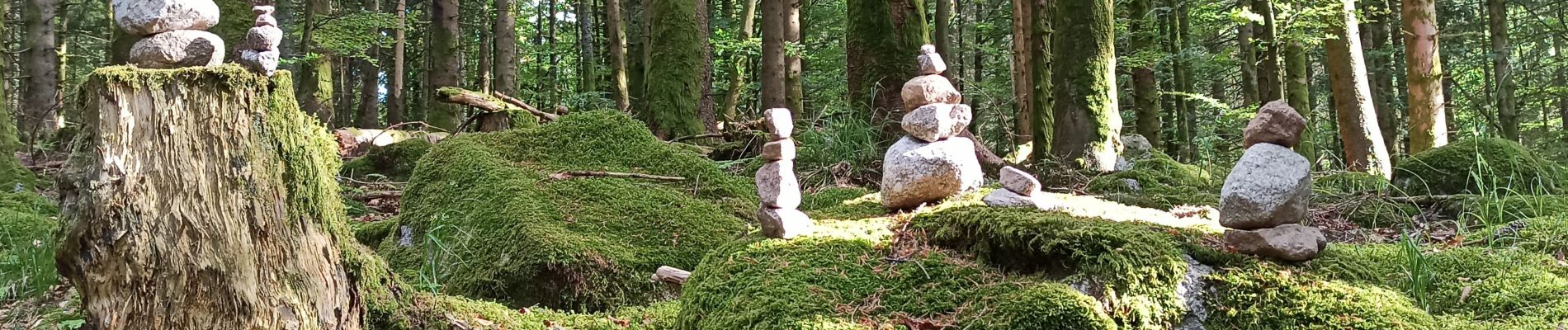 Percorso Marcia Xonrupt-Longemer - 28-05-22 Longemer vers cascade et chemin des Dames - Photo