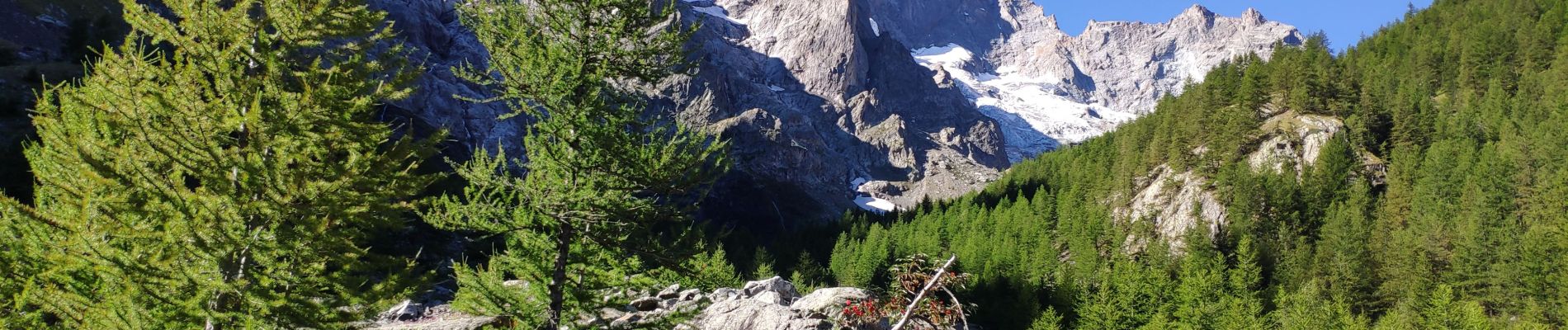 Tour Wandern La Grave - Oisans 2020 : AR La Grave - lac de Puy Vachier - Col des Ruillans (glacier de Girose).ori - Photo