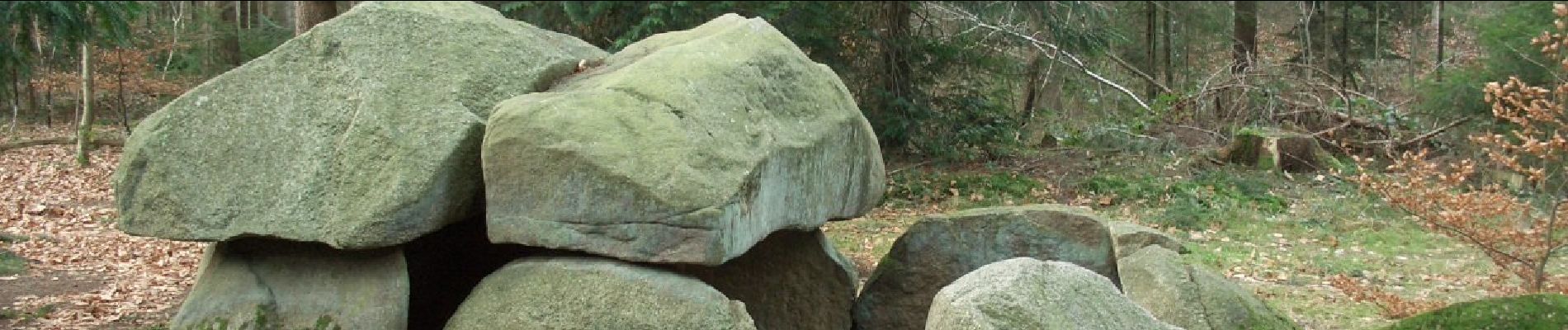 Percorso A piedi Bülstedt - Nordpfad Kempowskis Idylle - Photo