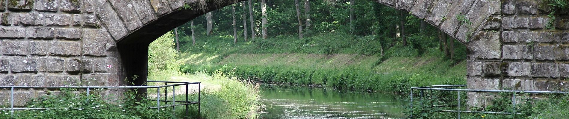 Tocht Te voet Forst Kleinschwarzenlohe - Historischer Lehrpfad - Photo